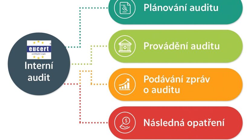 interni_audit